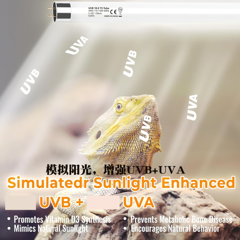 Planted and Reptile Terrarium  - Led Planted Tank Light 评论和价格