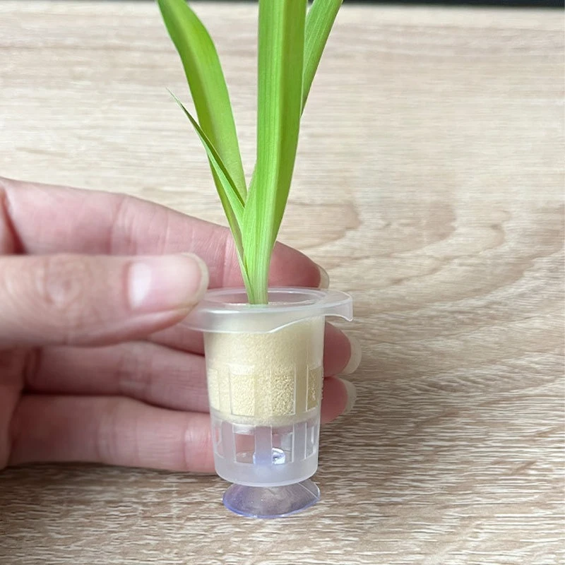 50pcs/10pcs Aquarium Planting  - Aquarium Plant Holder 评论和价格