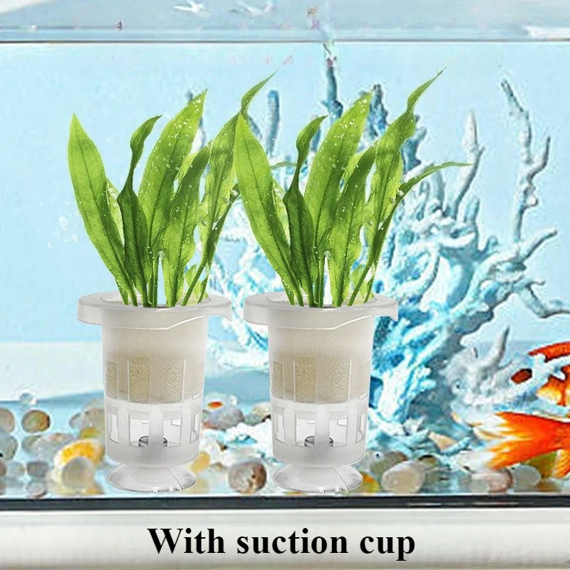 50pcs/10pcs Aquarium Planting  - Aquarium Plant Holder 评论和价格